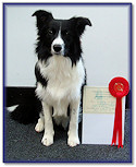 Rex at 6 Months: 1st Place, Intermediate Test