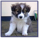 Surveying her garden at 5 wks!