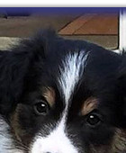 Twist at 7 Weeks Old