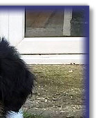 Twist at 7 Weeks Old