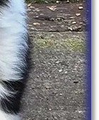 Twist at 7 Weeks Old