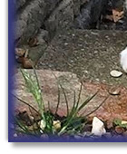 Twist at 7 Weeks Old