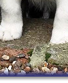 Twist at 7 Weeks Old