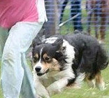 Twist & Bernice - Jumping Jacks, Redhill