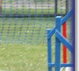 Twist & Bernice - Jumping Jacks, Redhill