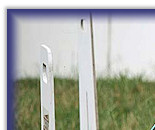 Breeze's team take 1st Place again