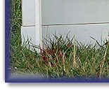 Breeze's team take 1st Place again