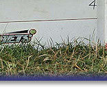 Breeze's team take 1st Place again