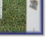 Breeze's team take 1st Place again