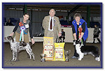 Res Best In Show at Romford & District 2012 - Age 16 Months